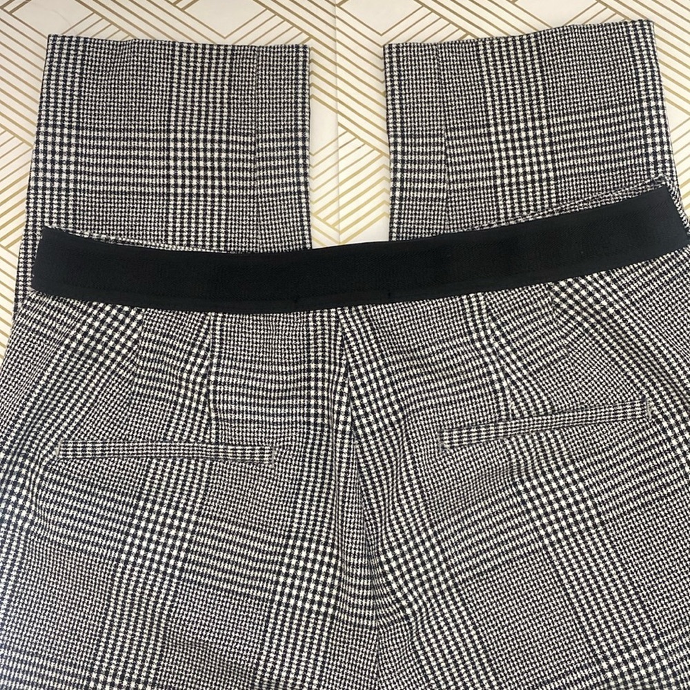 Zara pant career